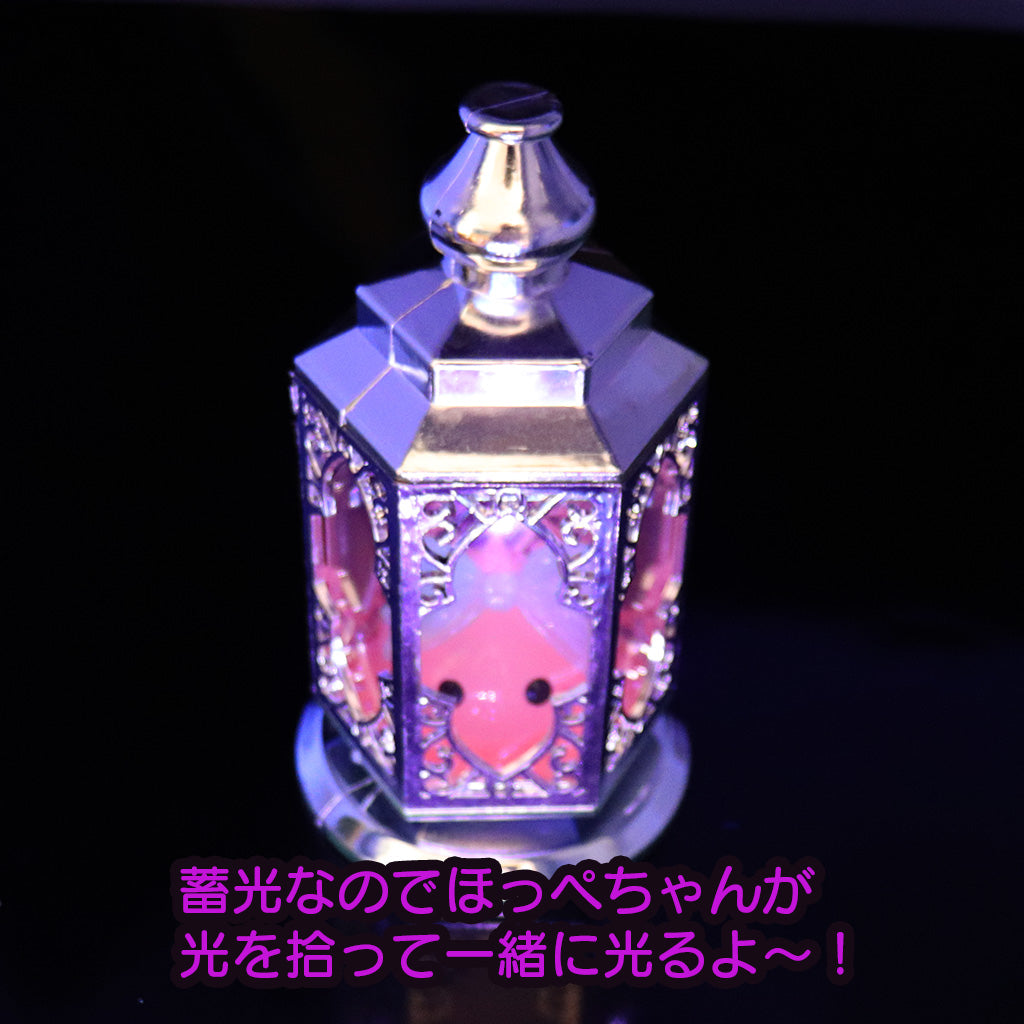 ほっぺ母の気まぐれ宝箱3000円