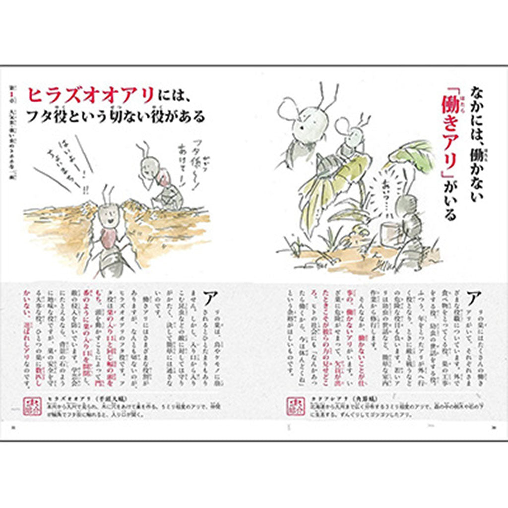 書籍/昆虫戯画 びっくり雑学事典