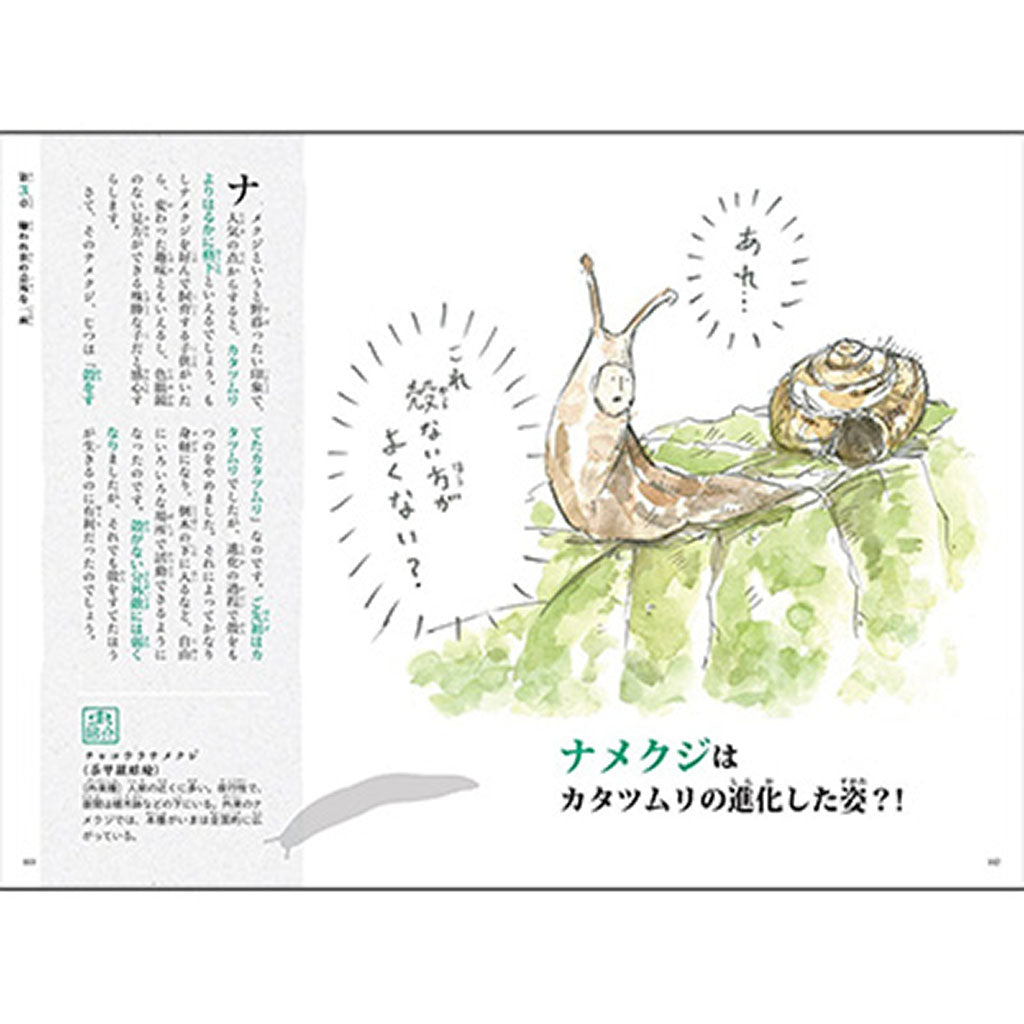 書籍/昆虫戯画 びっくり雑学事典