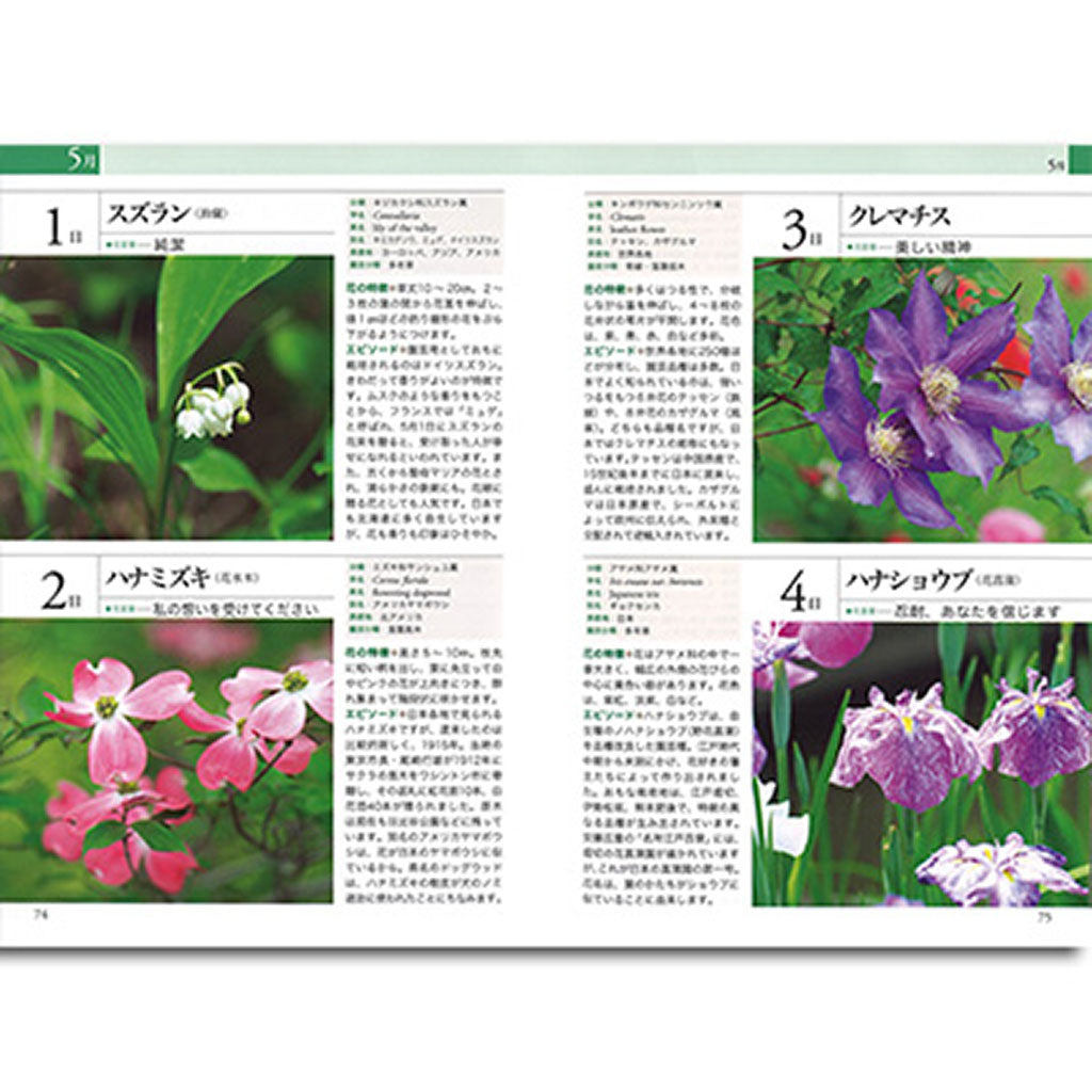 書籍/贈る 楽しむ誕生花事典