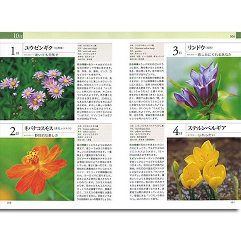 書籍/贈る 楽しむ誕生花事典