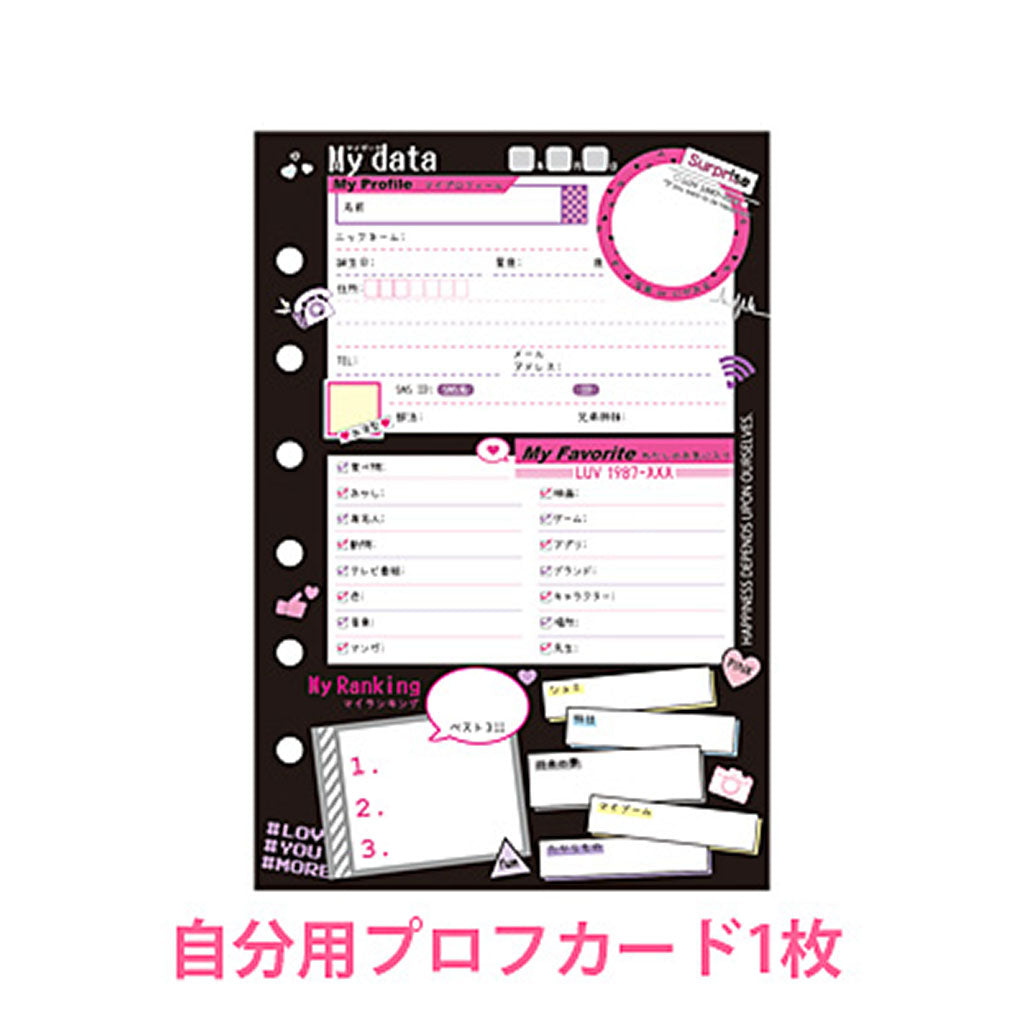 ストリート風/バインダータイププロフィール帳