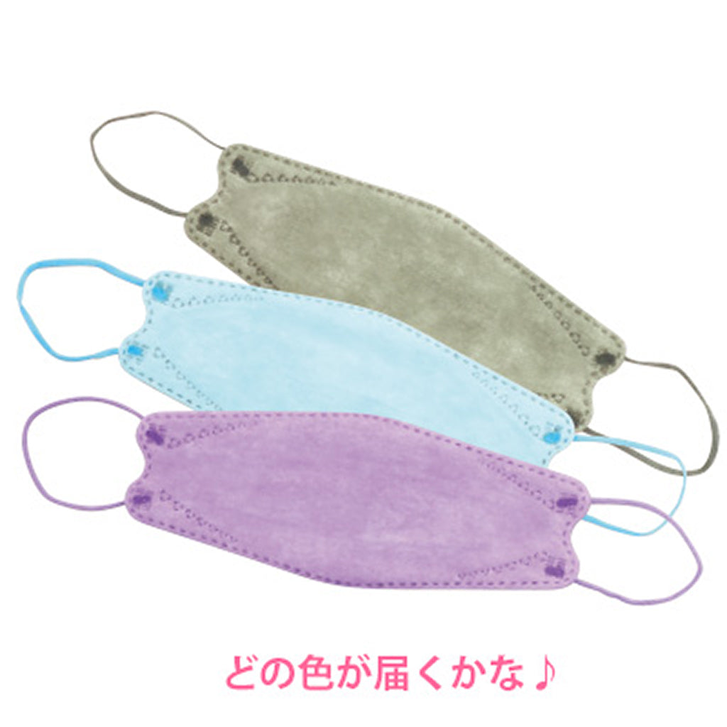 ブルべ系カラー/立体3Dマスク/2色6枚セット