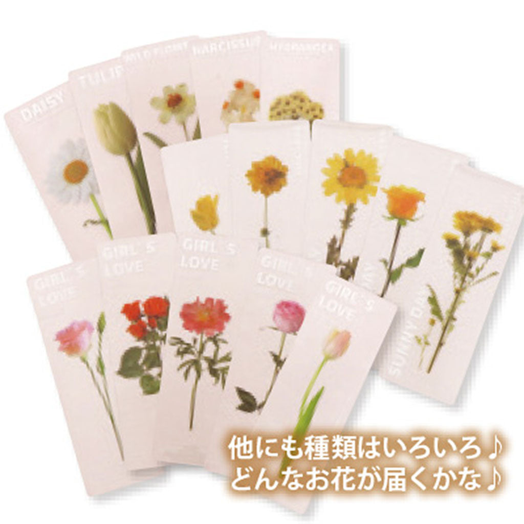 お花フォトプリントのクリアしおり/1枚売り