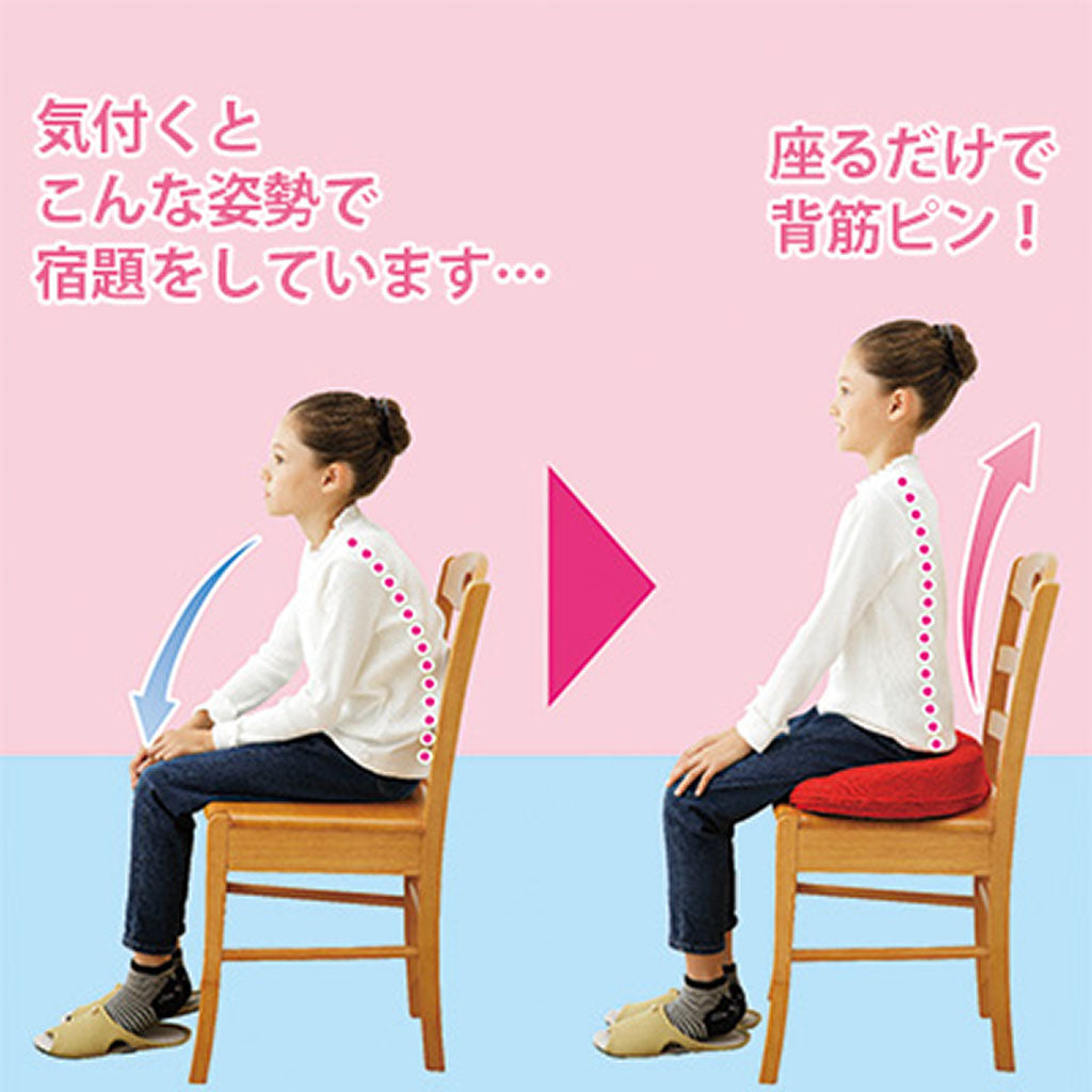 ブラウン/勝野式座るだけで骨盤キュッとクッション