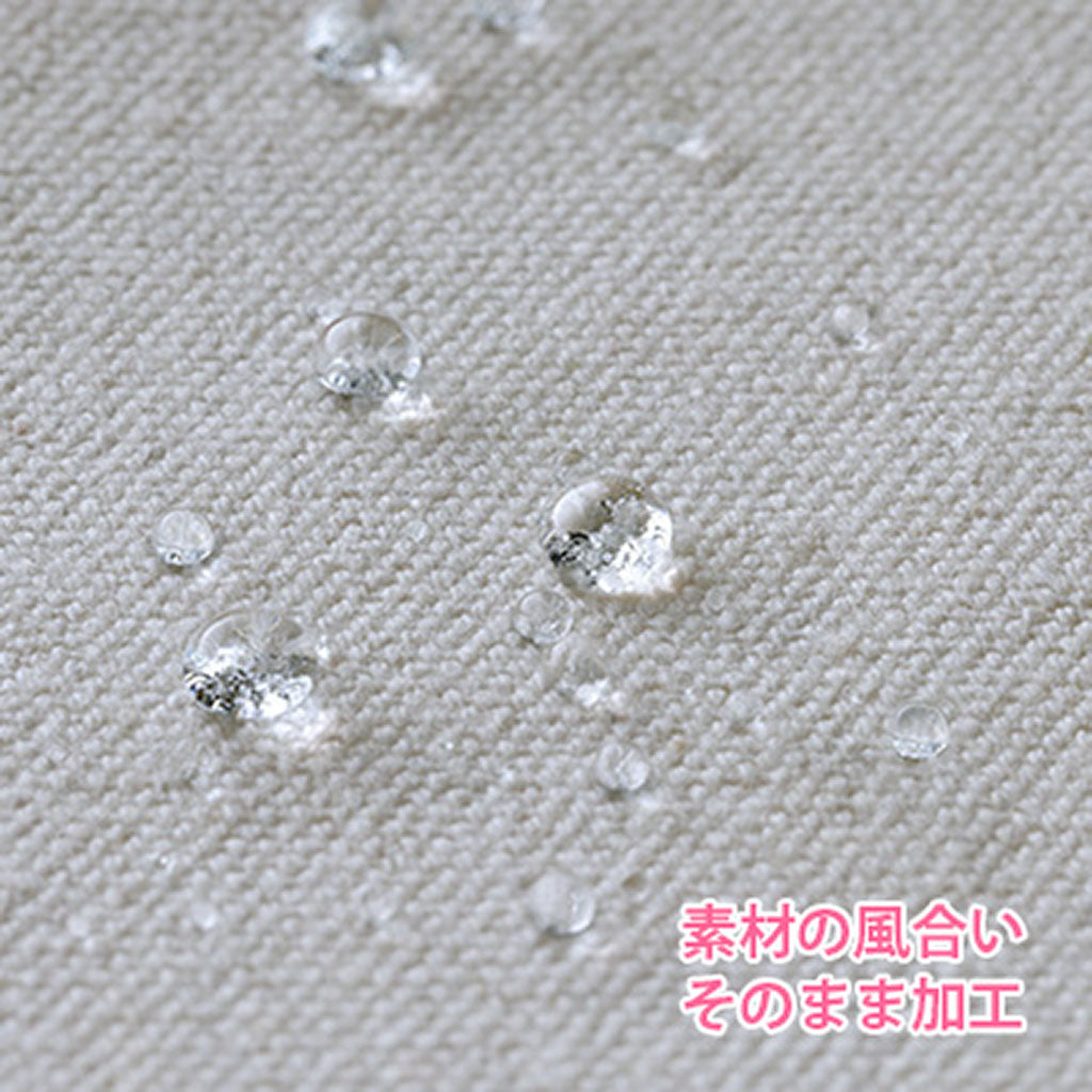 シューズ用プロテクトスプレー/shoes SAVON