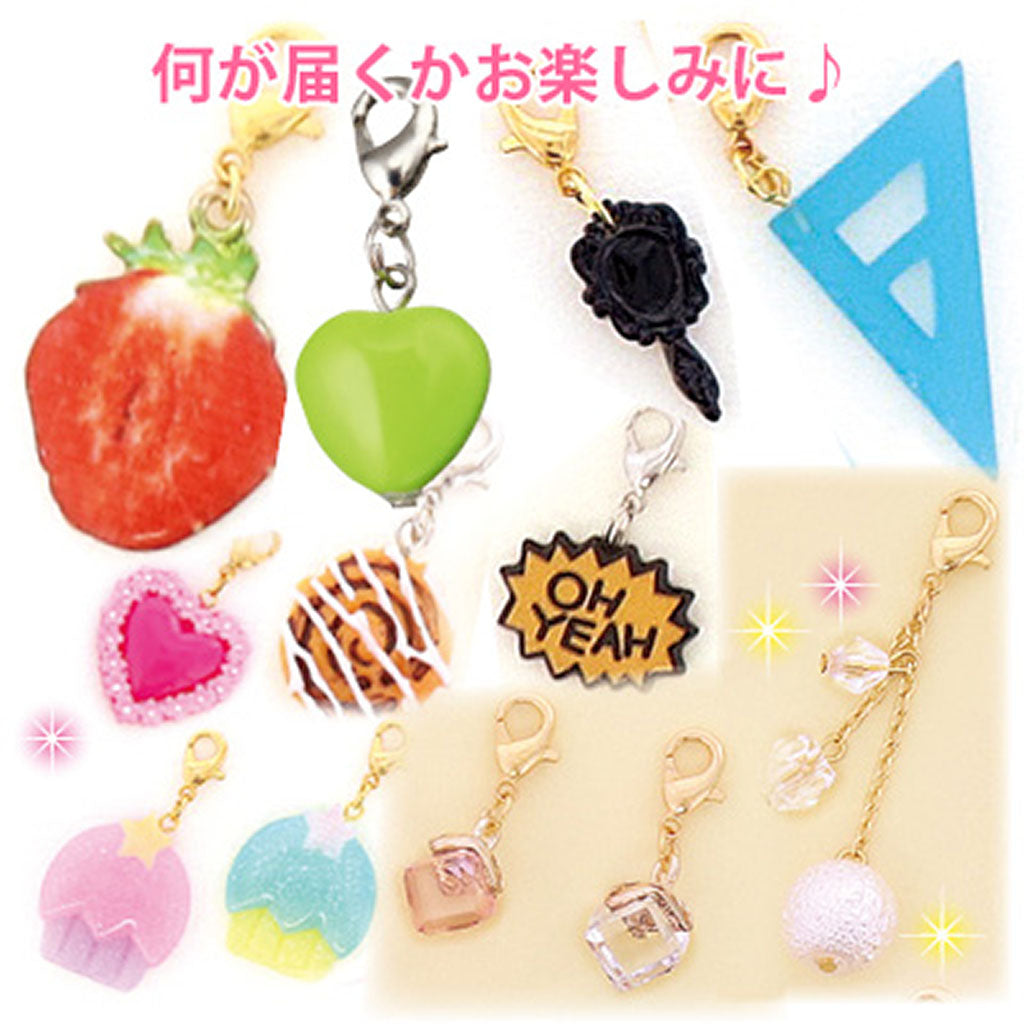 何が届くかお楽しみジッパーチャーム/1個売り