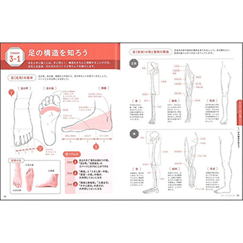 書籍／トレース式マンガキャラ手足の練習帳［基本デッサン］ – SUNHOSEKI